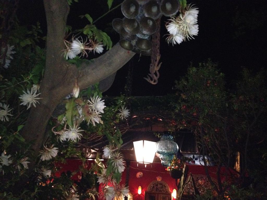 Casa De Las Flores Acomodação com café da manhã Tlaquepaque Exterior foto