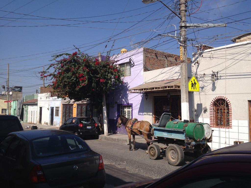 Casa De Las Flores Acomodação com café da manhã Tlaquepaque Exterior foto