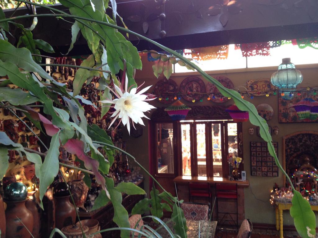 Casa De Las Flores Acomodação com café da manhã Tlaquepaque Exterior foto