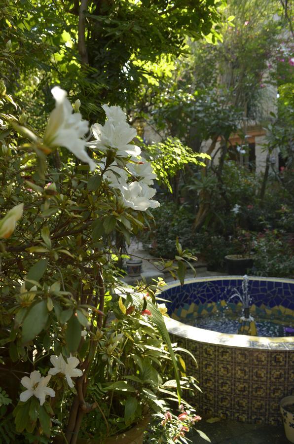 Casa De Las Flores Acomodação com café da manhã Tlaquepaque Exterior foto