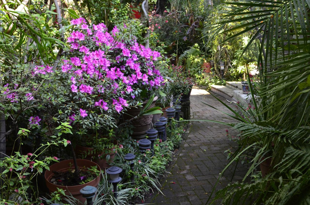 Casa De Las Flores Acomodação com café da manhã Tlaquepaque Exterior foto